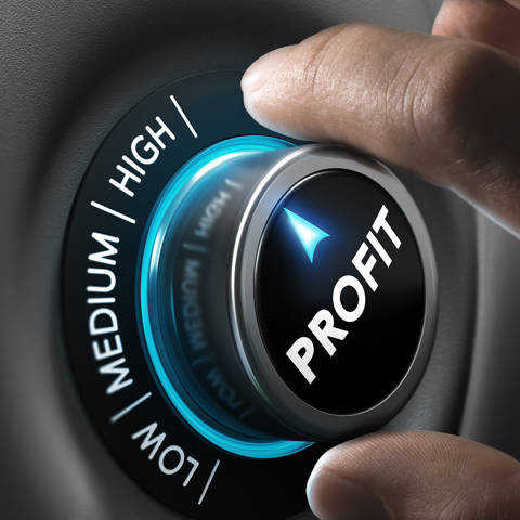 Revitup Hotel Profitability